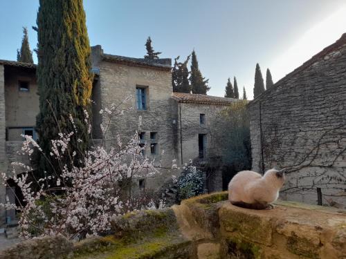 Uzes Bed & Breakfast | Le Mas du Lac