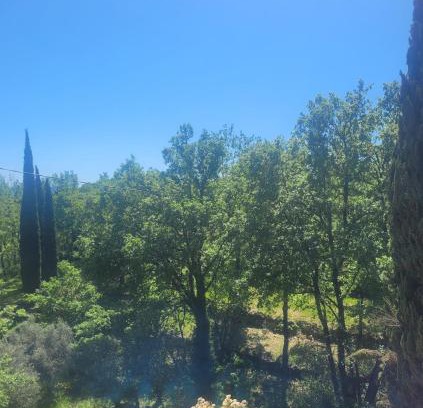Lorgues Bed & Breakfast | Le mas Les Salamandres