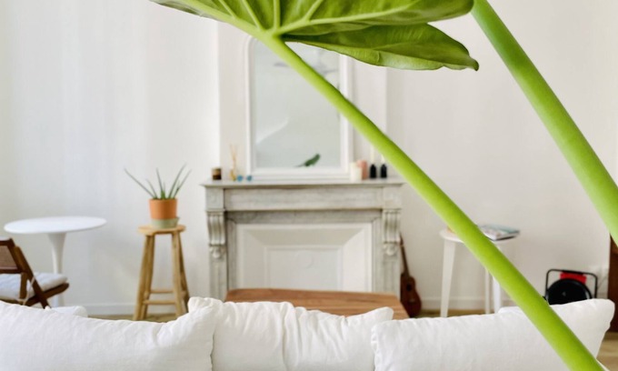 Le Camas House | Le Noft Marseille