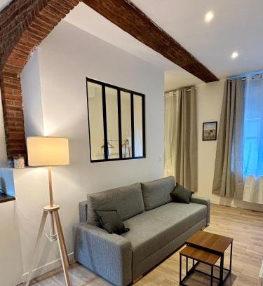 Valenciennes Apartment | Le Petit Hainaut, hyper centre