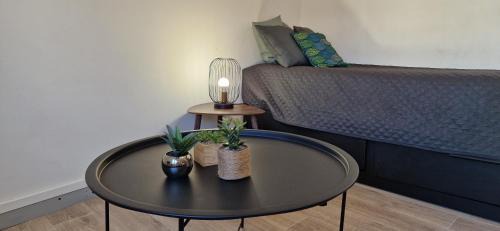 Mont-de-Marsan Apartment | Le petit Jungle - hyper centre