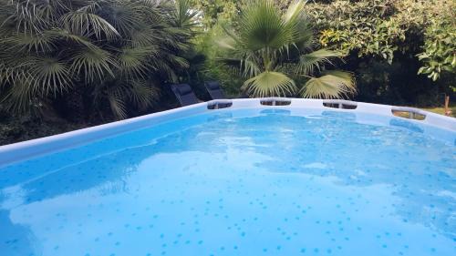 Istres Other | Le Phoenix de la Palmeraie