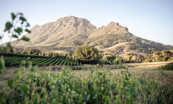 Cape Winelands Cabin | Le Pommier Wine Estate