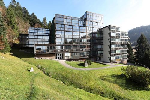La Bresse Apartment | Le ptit vosgien - Appt à 15min des pistes