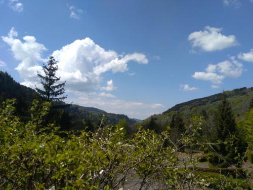 Mont-Dore Apartment | Le Relais Charraud
