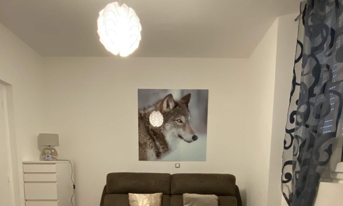 Vic-sur-Cere Apartment | LE STUDIO CENTRE VIC entre le LIORAN et AURILLAC