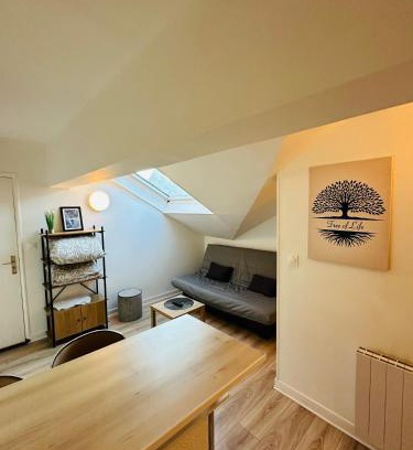 Charleville-Mezieres Apartment | Le studio du moulin