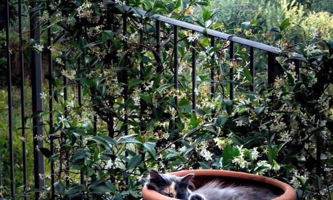 Todi House | Lemon Tree Boutique Guesthouse