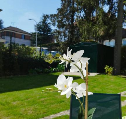 Orly House | Les Acacias - Maison Orly