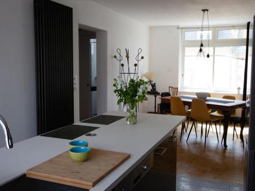 Concarneau Apartment | Les Aigrettes - Appartement spacieux - Terrasse et garage