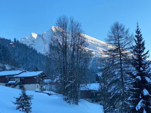 La Clusaz Apartment | Les bouquetins