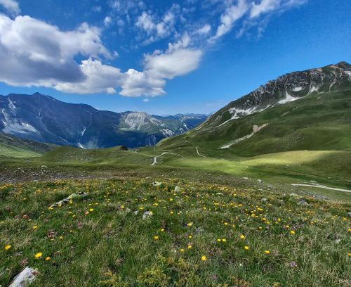 Bourg-Saint-Maurice Apartment | les campanules