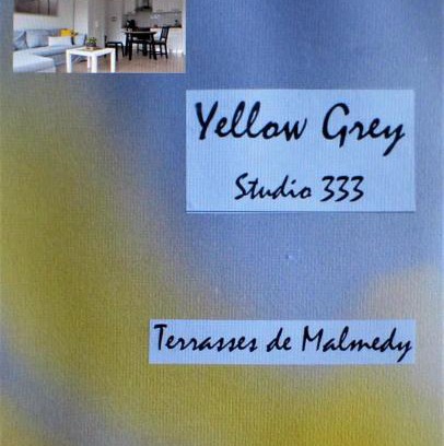 Malmedy Apartment | Les terrasses de Malmedy Studio 333 Yellow Grey