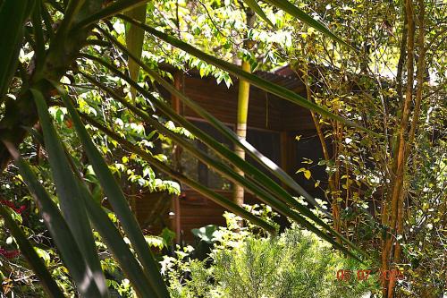 San Ignacio House | Licensed 2 bedroom cabin Close to San Ignacio, local dining, and adventure tours