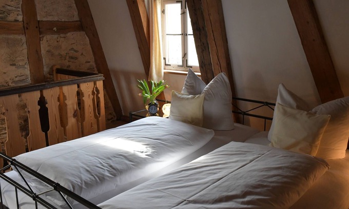 Ickelheim Other | Lichtblick apartment near Bad Windsheim, fireplace, garden, barbecue, panorama screen, massage