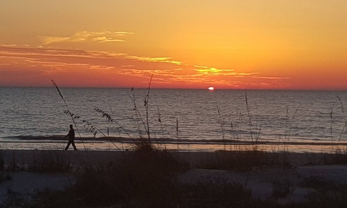 Sarasota Cottage | Lido/St. Armands, Sarasota-Walk to Beach & St. Armands, Private cottage w/grill!
