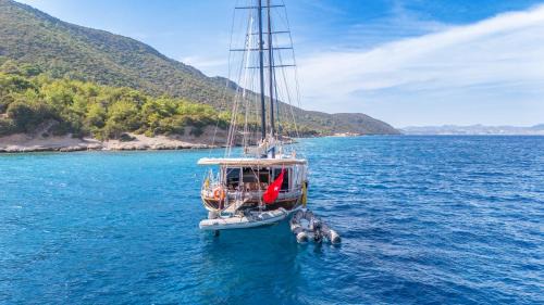 Bodrum City Center Boat Rental | Life is Life