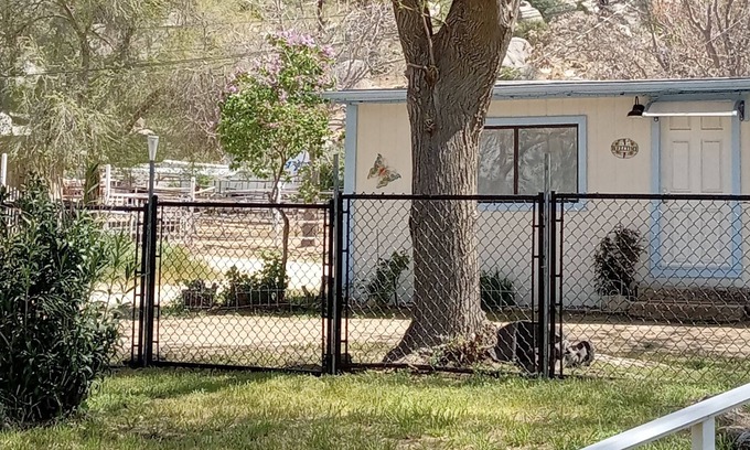 Lake Isabella Cottage | Lilac Cottage is a quiet, peaceful & serene retreat in nature's setting. Welcome