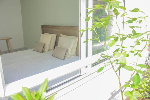 Old Lille Bed & Breakfast | Lille au calme - chambre d'hôte M et Me Collet