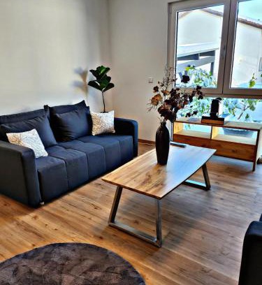 Heidenheim an der Brenz Apartment | Lions Place Premium Apartments COMFORT optionaler Zugang zum SPA- Bereich