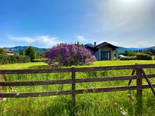 Amfikleia-Elateia Apartment | Lithos Villas