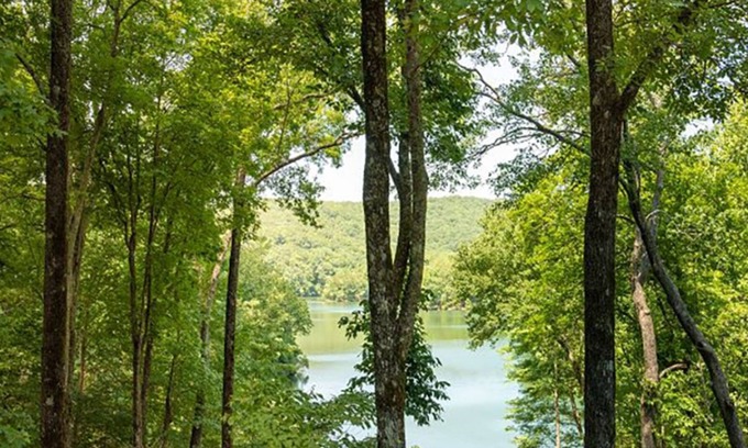 Big Canoe Cottage | Little Deer Lodge|Charming|Stunning Mllion $ View|