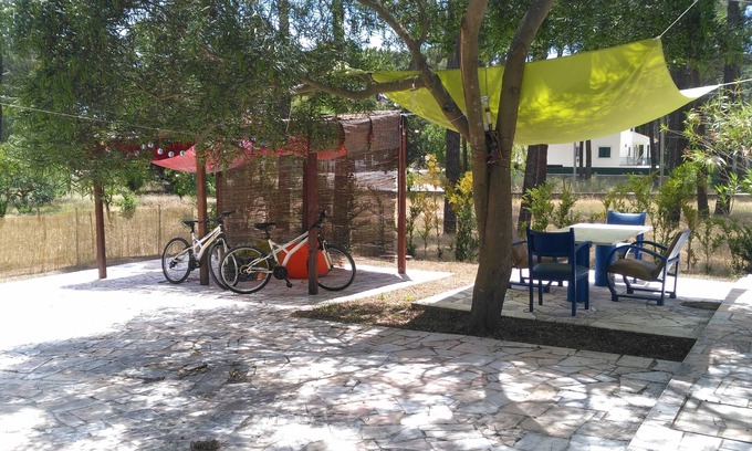 Charneca de Caparica e Sobreda House | Little Leisure House - Amazing Leisures, AL