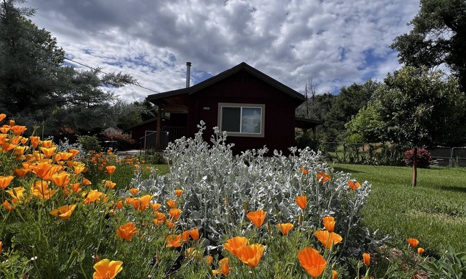 Shasta Cabin | Little Red House Cute, Cozy, Rustic Home in Historic ShastanWhiskeytown Lake