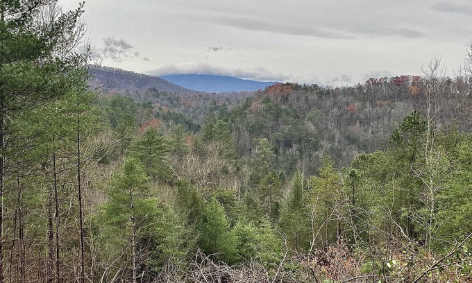 Sevierville Villa | Little Smoky Secret (Brand New Hot Tub, Appliances, King Size Handmade Mattress