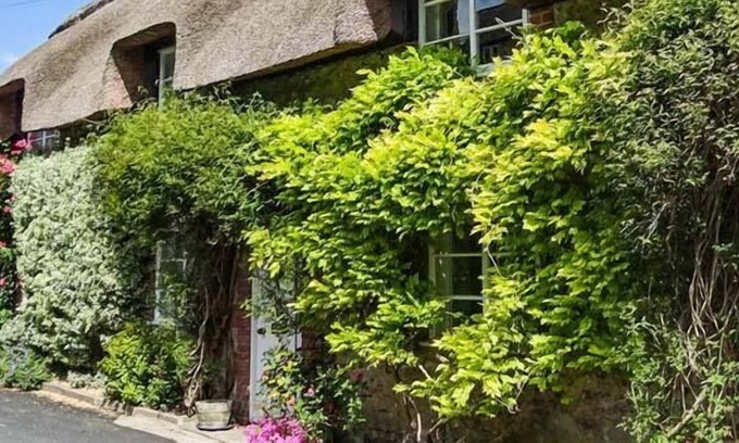 Cerne Abbas Cottage | LITTLE THATCH, romantic, luxury holiday cottage in Cerne Abbas