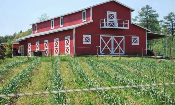 Bynum Other | Live the farm life!