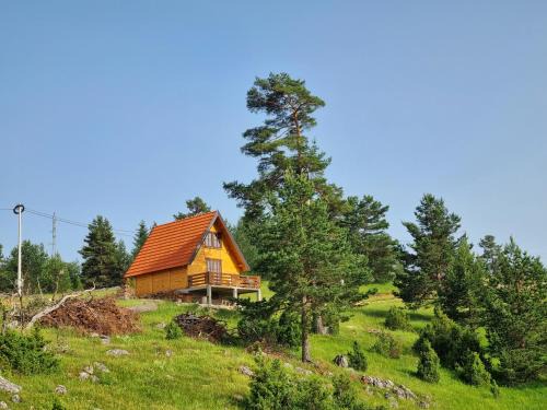 East Sarajevo Ski Chalet | Ljeljen koliba
