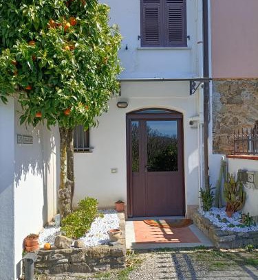 Castelnuovo Magra Apartment | Locazione turistica La Gesualda