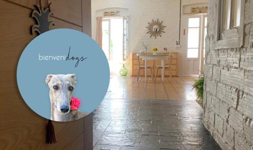 Logrono Historic Centre Apartment | Loft con patio en la zona de tapas Pet Friendly