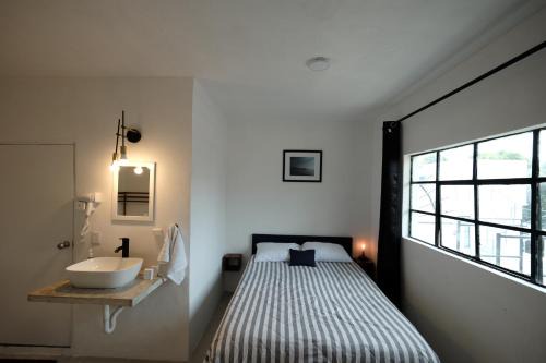 Del Carmen Apartment | Loft Coyoacán Micaela