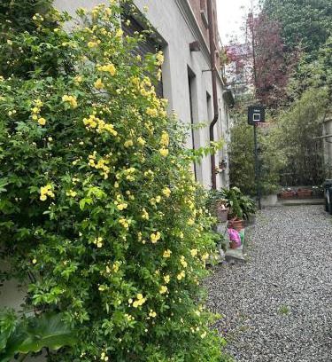 Borgo Po Apartment | Loft Crimea con patio