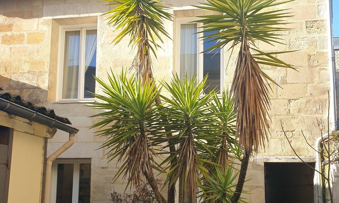Saint Seurin - Fondaudege House | Loft house like in the middle of nature
