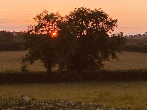 Downpatrick House | Long View Guest Accommodation