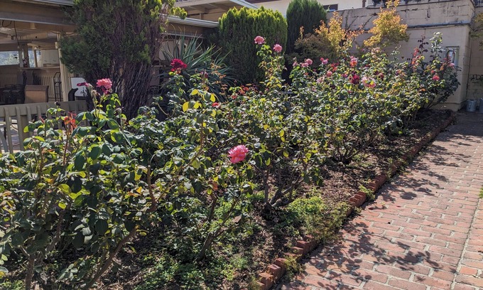 Los Gatos Hotel | Los Gatos Garden Inn Hotel