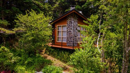 Monteverde Cabin | Los Pinos Cabins & Reserve