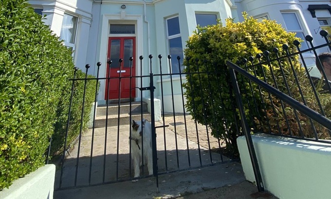Bangor House | Loughview