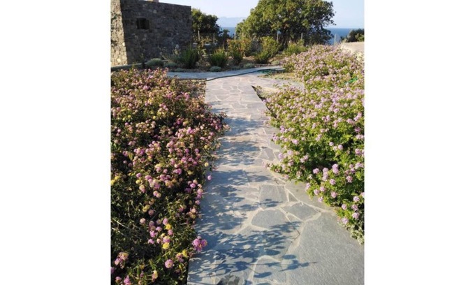 Nisyros House | Loutra Olive Garden Stone House #3