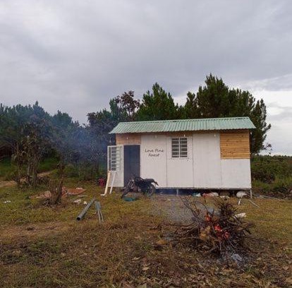 Duc Trong House | Love Pine Forest Campsite