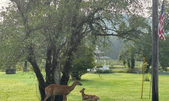 Rowe House | Lovely 2-bedroom house private 2ac setting. Hiking, swimming, kayaking, skiing.