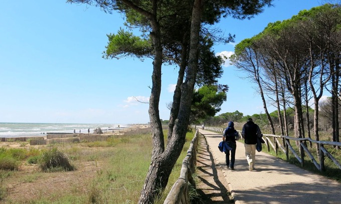 Bibione Lido del Sole Apartment | Lovely apartment for 5 people with A/C, WIFI, TV, terrace, pets allowed and parking