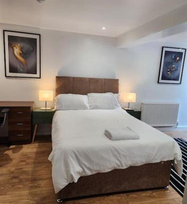 London Borough of Bexley Apartment | Lovely En-suite Room with private entry, Close to Station