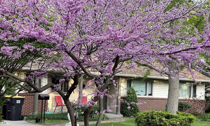 Jonesville House | Lovely home in quiet neighborhood