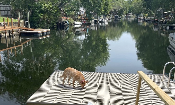 Spring Hill Boat Rental | Lovely Home on Freshwater Canal - 5 Minutes to Main River by Kayak Dogs accepted