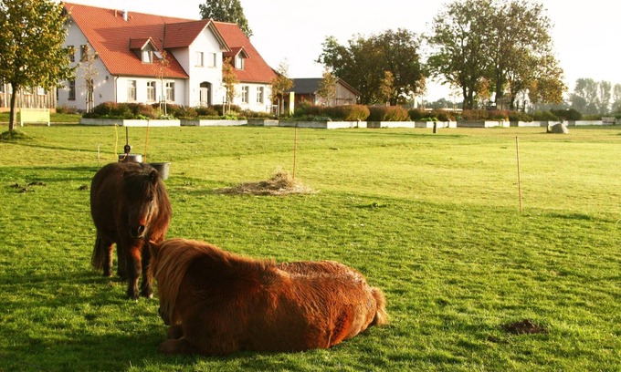 Stahlbrode House | Lovingly renovated farmhouse on eco-farm - only 1 km to the Rügen ferry