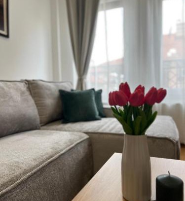 Arandelovac Apartment | Loyal 1
